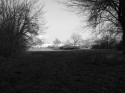 Clearing